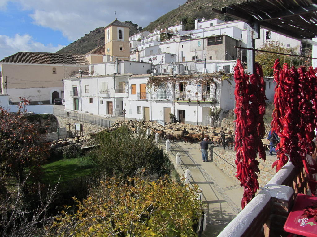 Bed and Breakfast Sierra y Mar Ferreirola Exterior foto