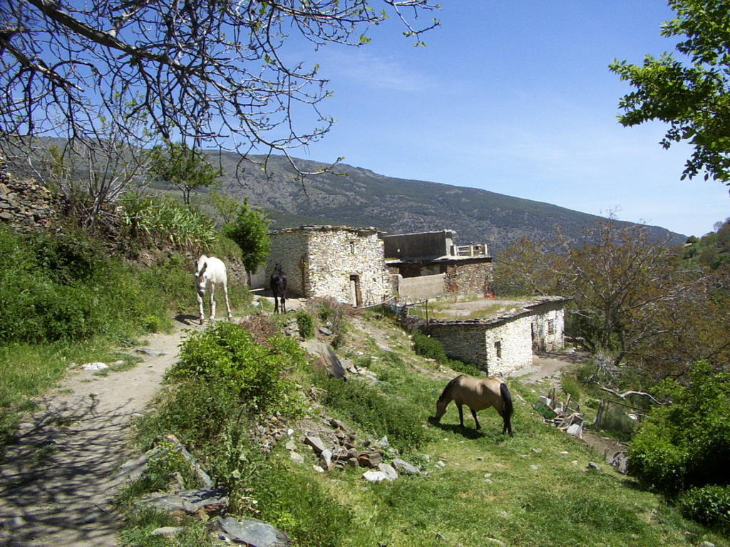 Bed and Breakfast Sierra y Mar Ferreirola Exterior foto